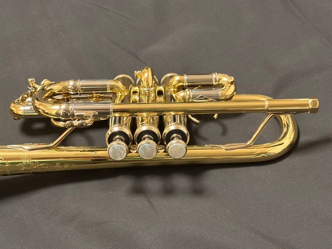 V.BachアルティザンE♭管 AE190GL選定品 [中古] - メルカリ