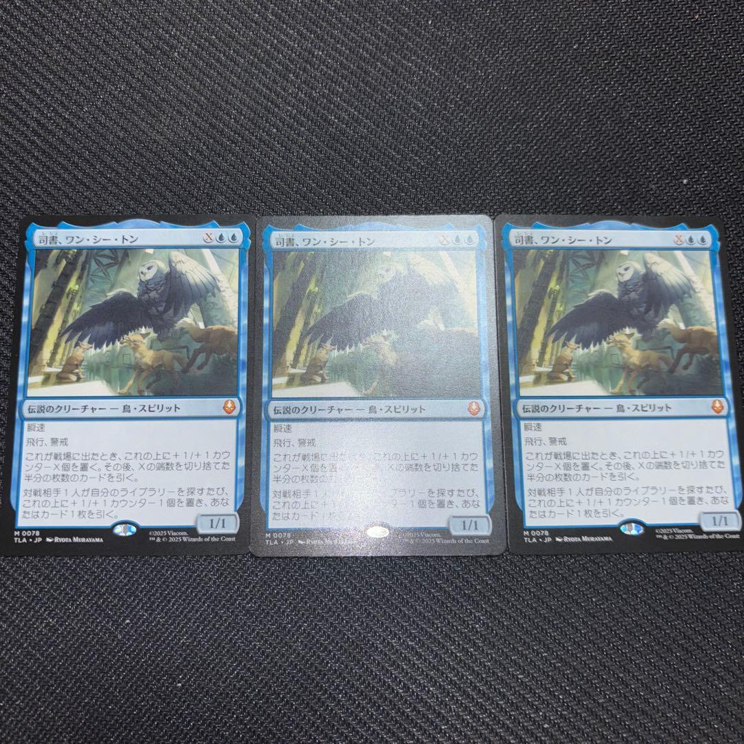 MTG 司書、ワン・シー・トン 通常 日本語版 司書、ワン・シー・トン/Wan Shi Tong, Librarian (全面アート版