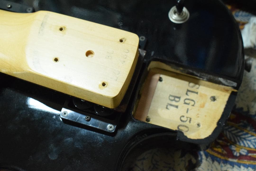 Burny Fernandes LG-480 SLG-50 ソフトケース付 - メルカリ