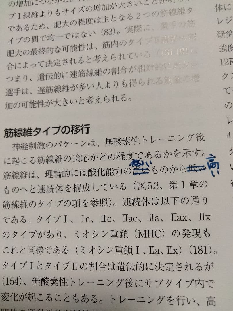 天然木漆器塗り上蓋三面梅青海波蒔絵三段重桐箱入り-【未使用】NSCA