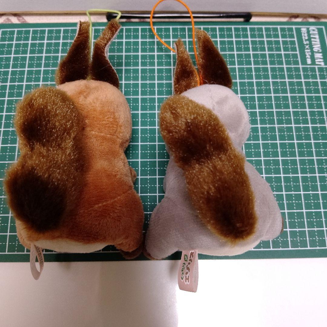 くったりエゾリス ぬいぐるみ 2体セット - メルカリ