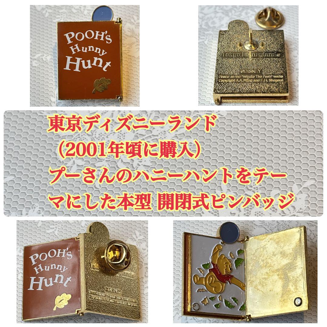 レアあり】ディズニーランド・ディズニーストア・ピンバッジ21点セット