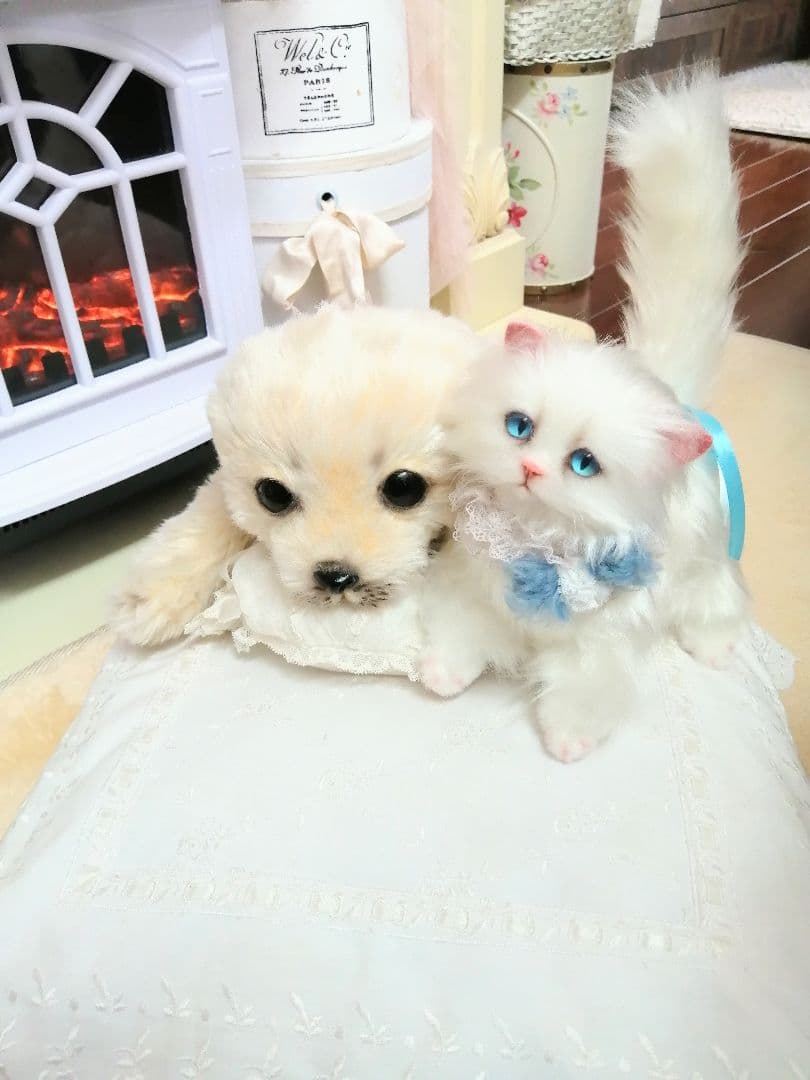 クルトン様❤️オーダー❤️ミゾレ君♡白猫ちゃん♡アートドール♡ぬいぐるみ♡ ニャンだきみは！？ ぬいぐるみ 白 3歳 4歳 5歳 | Toys”R”Us – Japan
