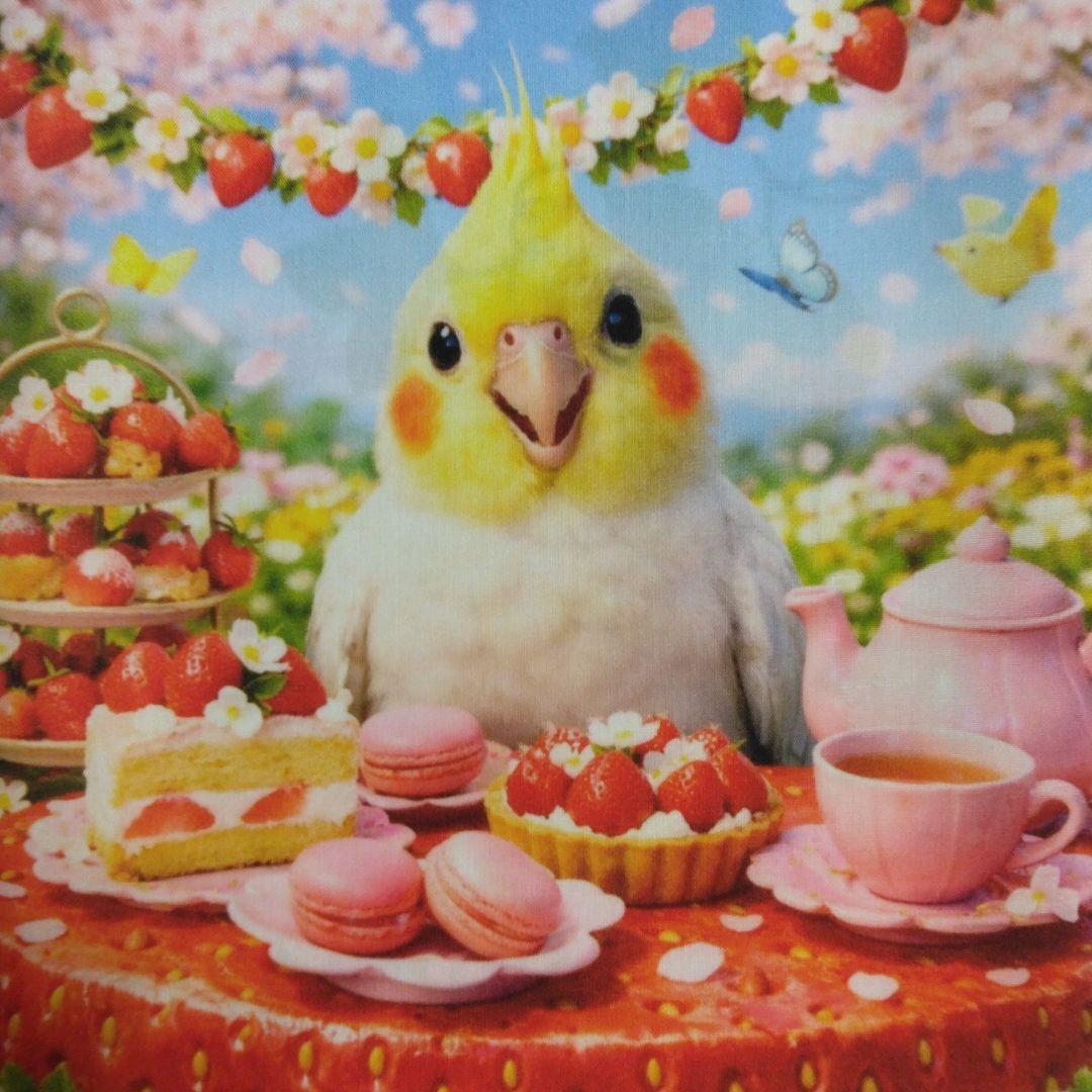 ☆受付☆インコ - メルカリ