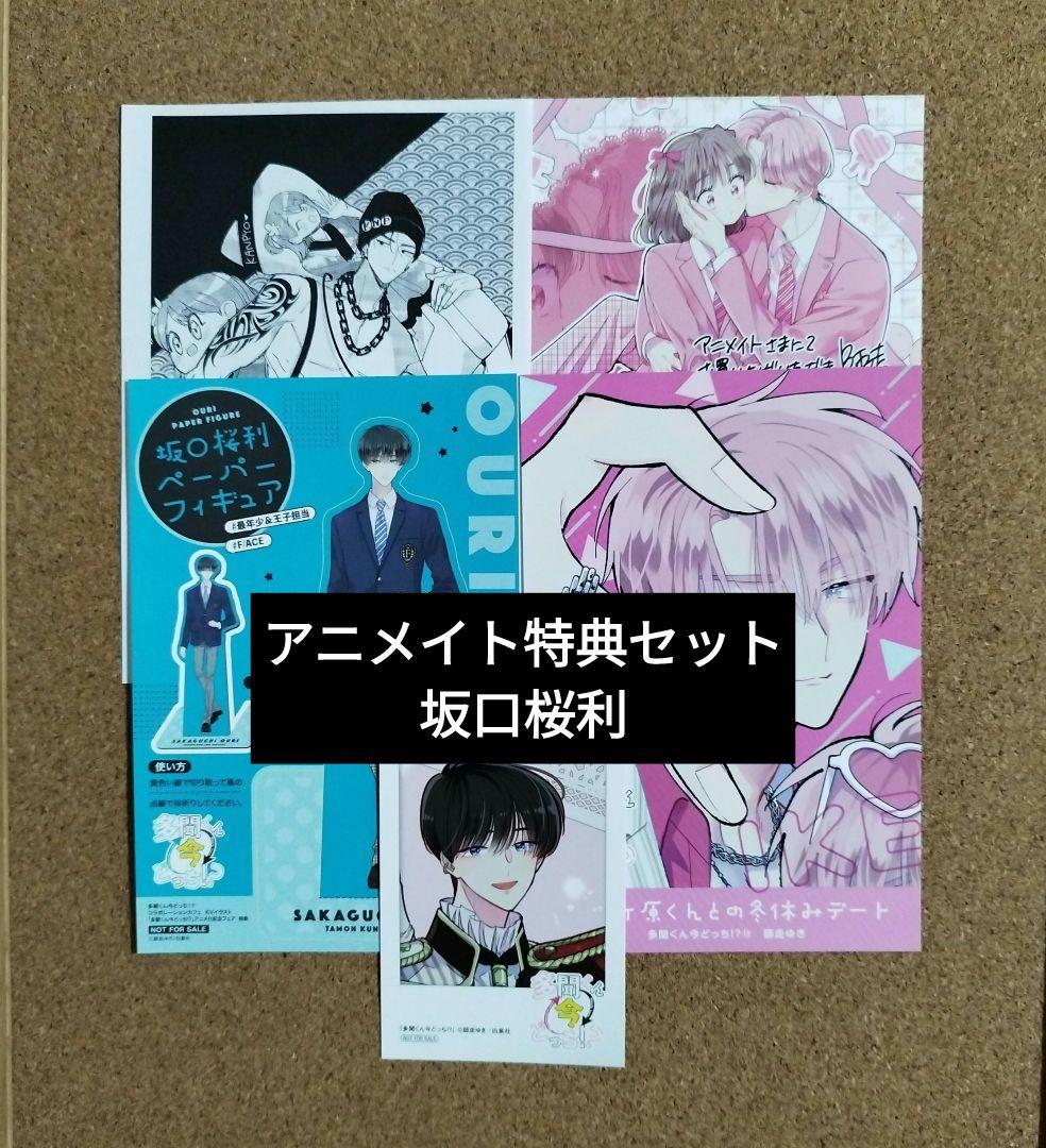 多聞くん今どっち!?13◇師走ゆき◇アニメイト特典ミニフォトカード坂口