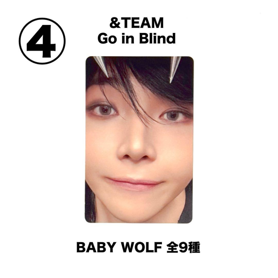 &TEAM ニコラス NICHOLAS 【公式】BABY WOLFトレカ - メルカリ