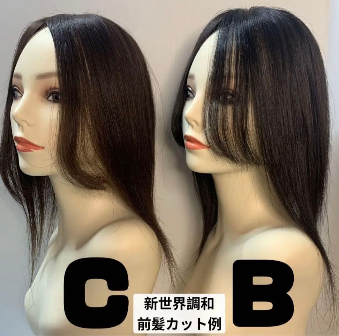 真2025新世界レミー100%ウィッグヘアピースシルクスキン増毛ウィッグ