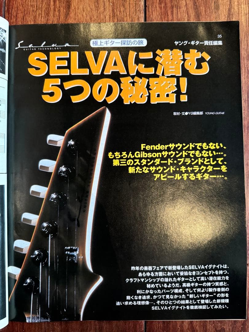 1998年に発売された幻のギターSelva Ignite - メルカリ