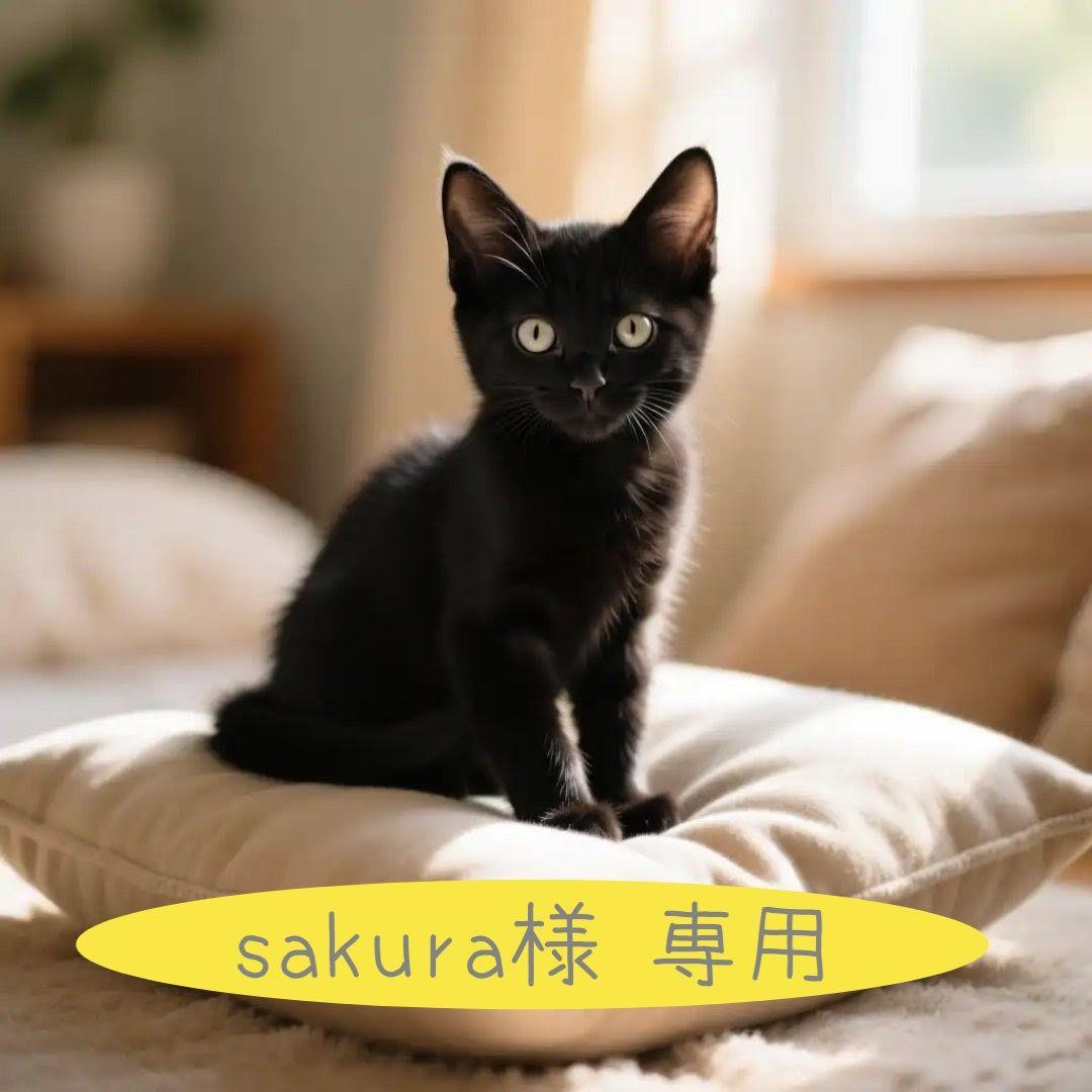 ❀sakura❀