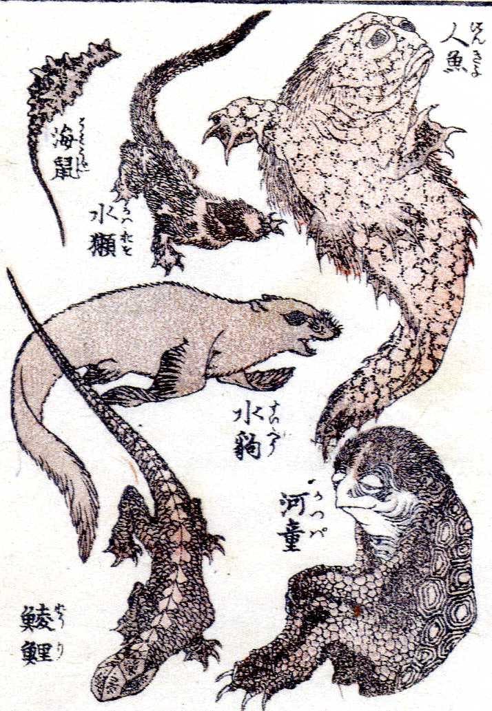 浮世絵 妖怪 図録 がしゃどくろ 猫又 ぬえ 九尾の狐 河童 人魚 など百