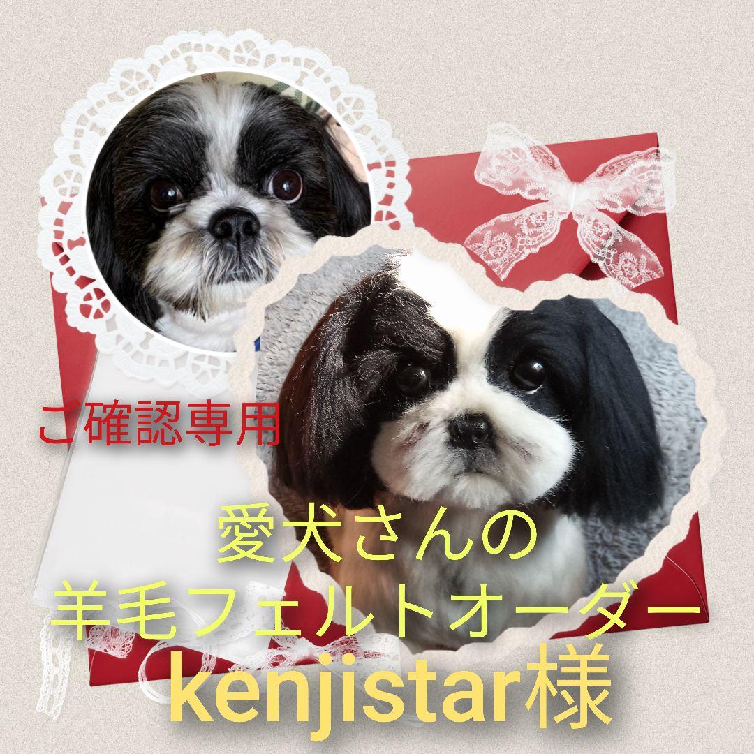 愛犬さんの羊毛フェルトオーダー・kenjistar様ご確認専用 愛犬さんのオーダー》羊毛フェルト オーダー 犬 羊毛フェルト チワワ