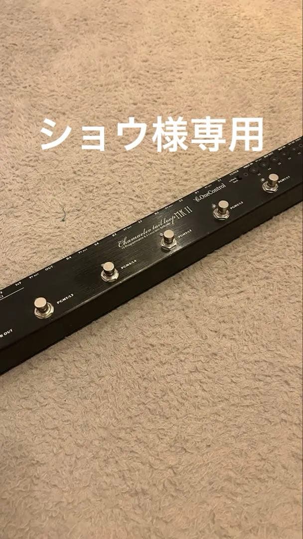 ギター One Control Chameleon Tail Loop MK II One Control Chamaeleo Tail Loop Mark II | Reverb