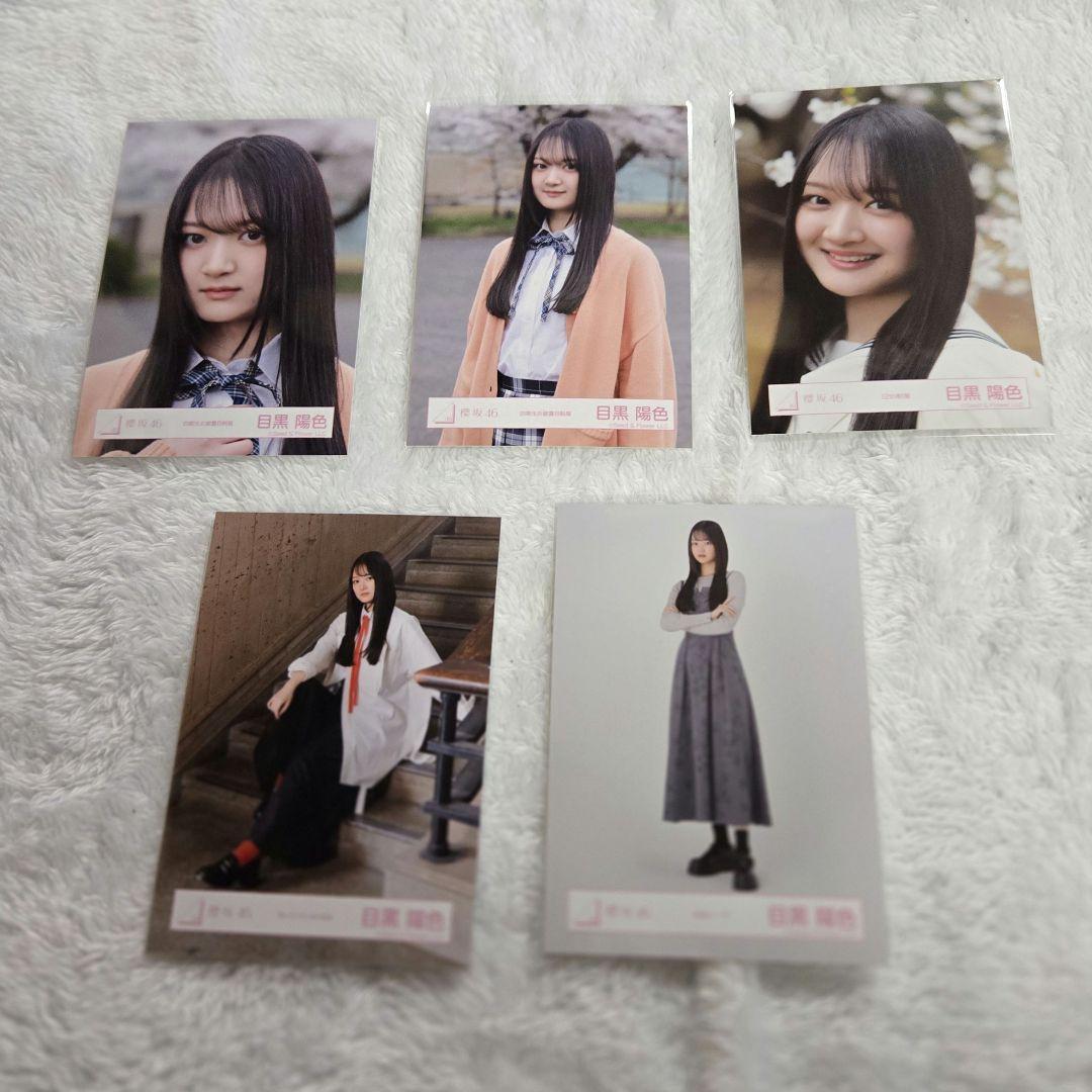 櫻坂46 目黒陽色 生写真まとめ売り - メルカリ
