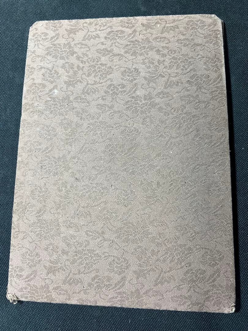 末代皇朝舊影」中国朝廷写真集 時代不明 折帖◇ラストエンペラー 清朝