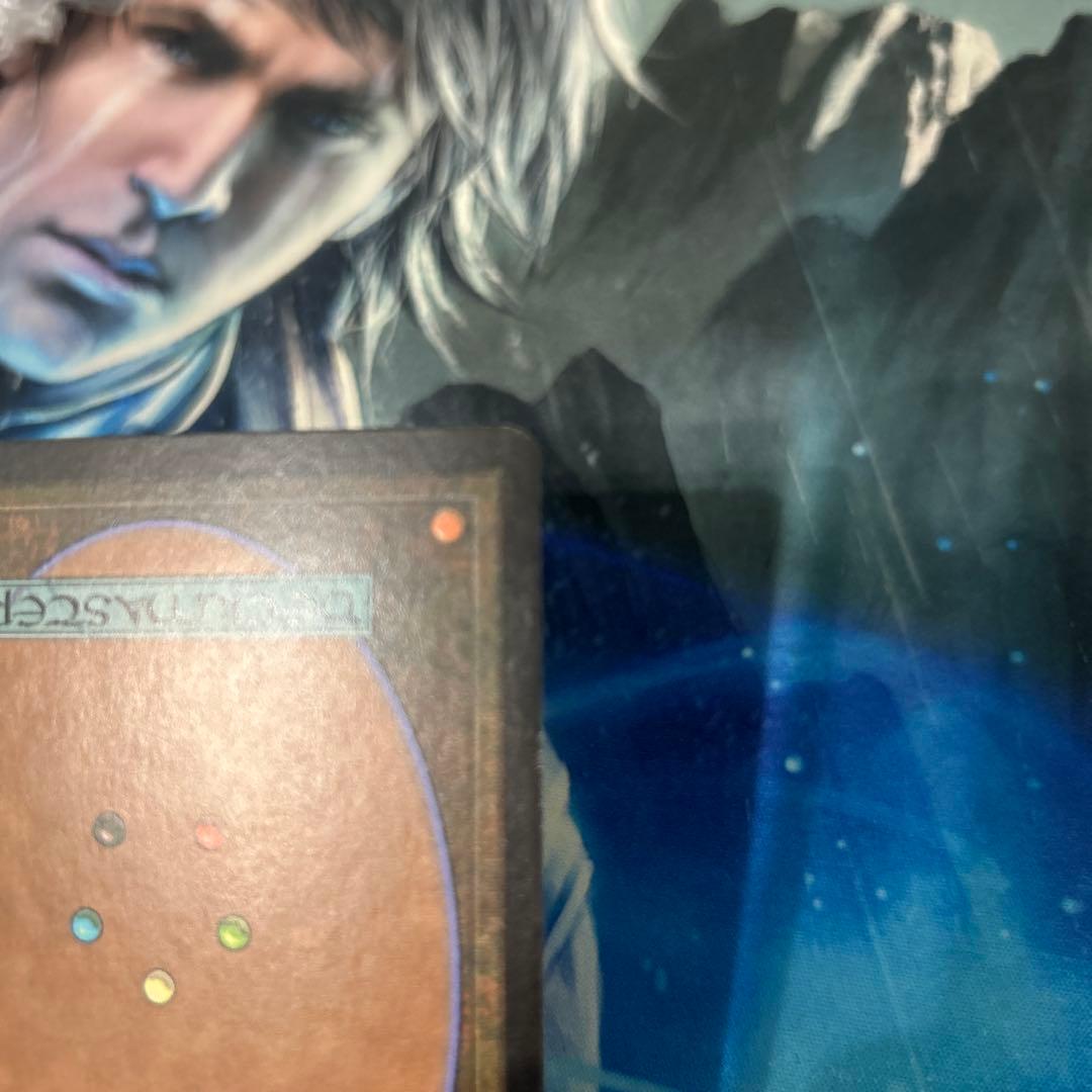 mtg 旧枠 初版 foil 不毛の大地/Wasteland 英語 en その1 - メルカリ