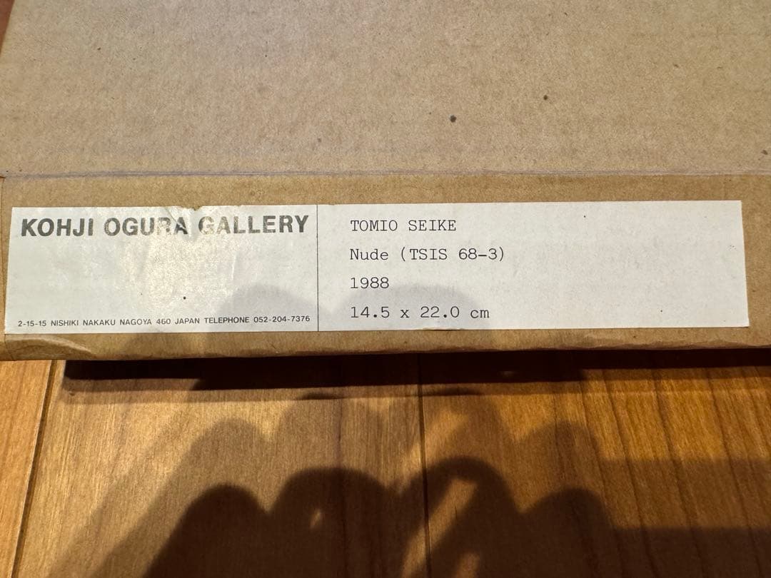 芸術写真 SEIKE TOMIO 1988 nude