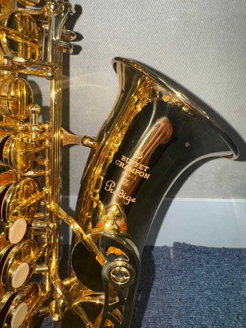 Buffet Crampon Prodige 選定品 - メルカリ