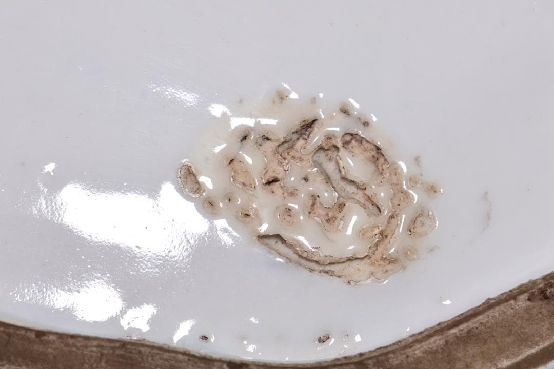 江戸中期 古伊万里 美人形 飾皿 変形皿 色絵金彩 巾40.5㎝ BJ201