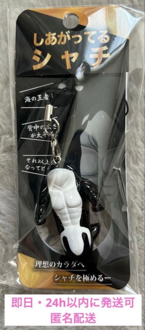 新品未開封】 しあがってるシャチ 須磨シーワールド 岩本照 即日発送