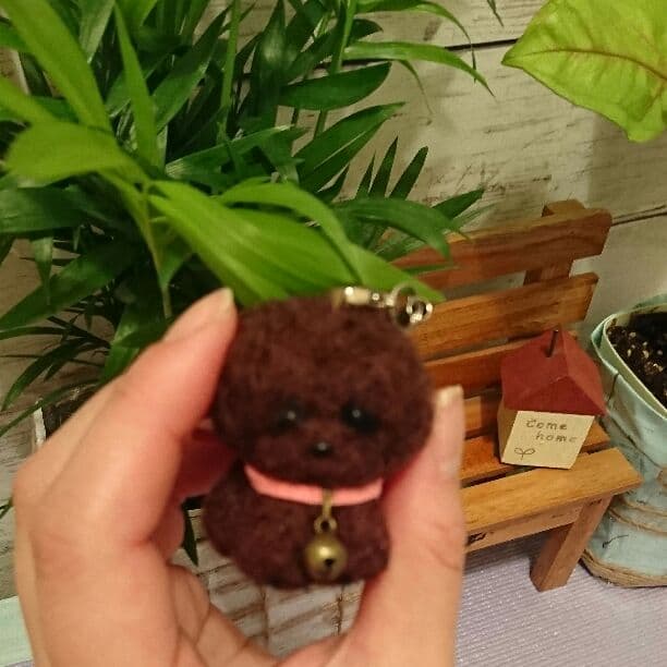 ☆ここです☆