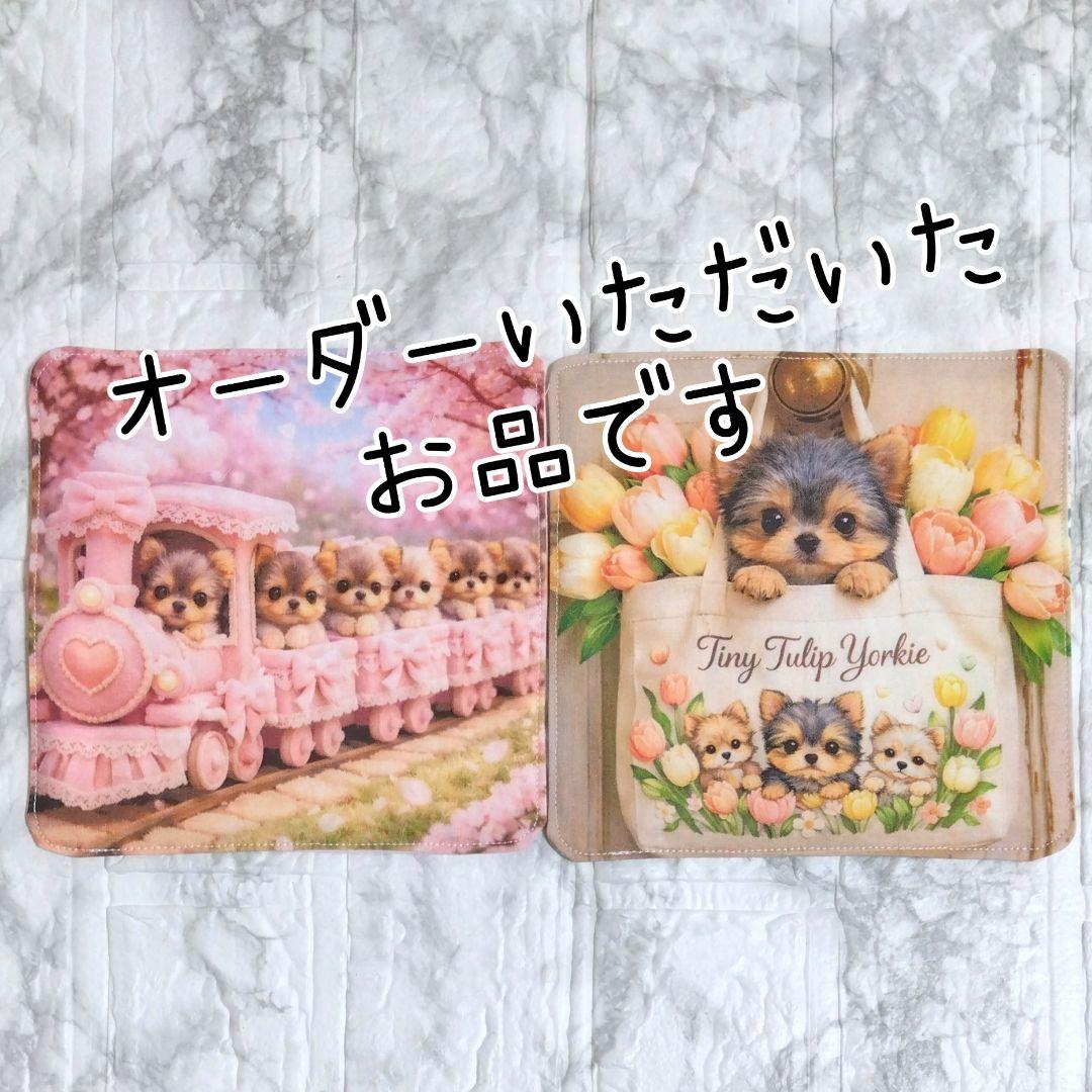 ゆみ様　犬パネル　ヨーキー ⭐︎ 【家族が決まりました！】 種別・・ヨークシャテリア 性別