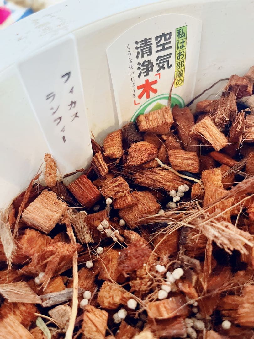 でこポンず様