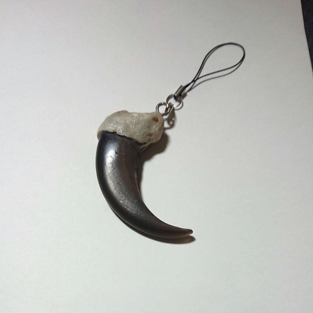 熊の爪 キーホルダー 熊 クマ ヒグマ ハンドメイド - メルカリ