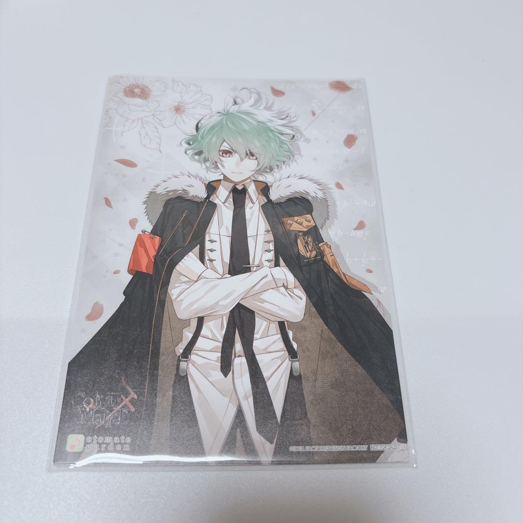 笹塚尊 カラマリ カラーマリス イラストカード イラカ ポスカ オトガ