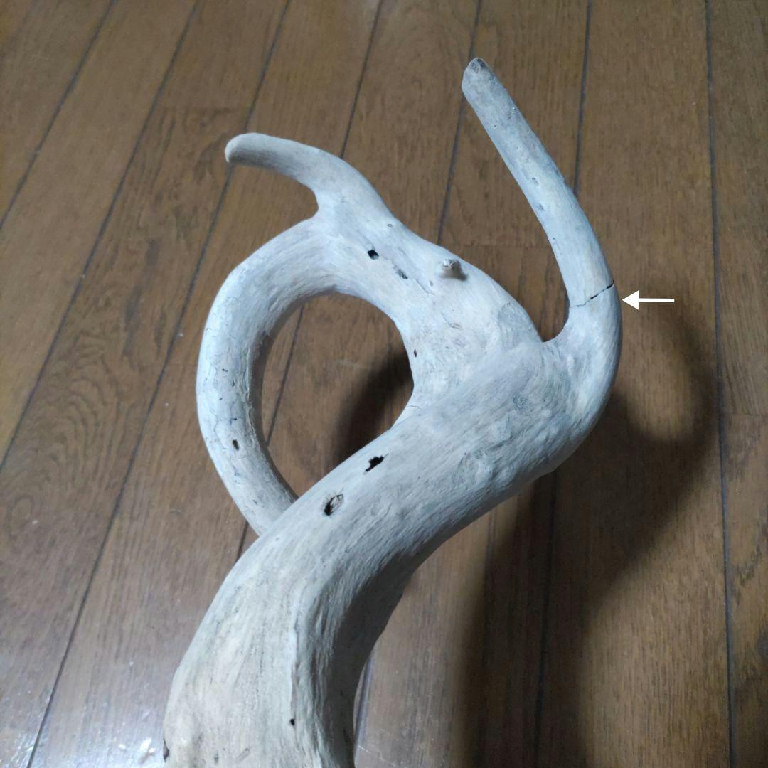 天然自然流木ビッグな超希少龍木竜木辰年直接引き渡し限定大阪府