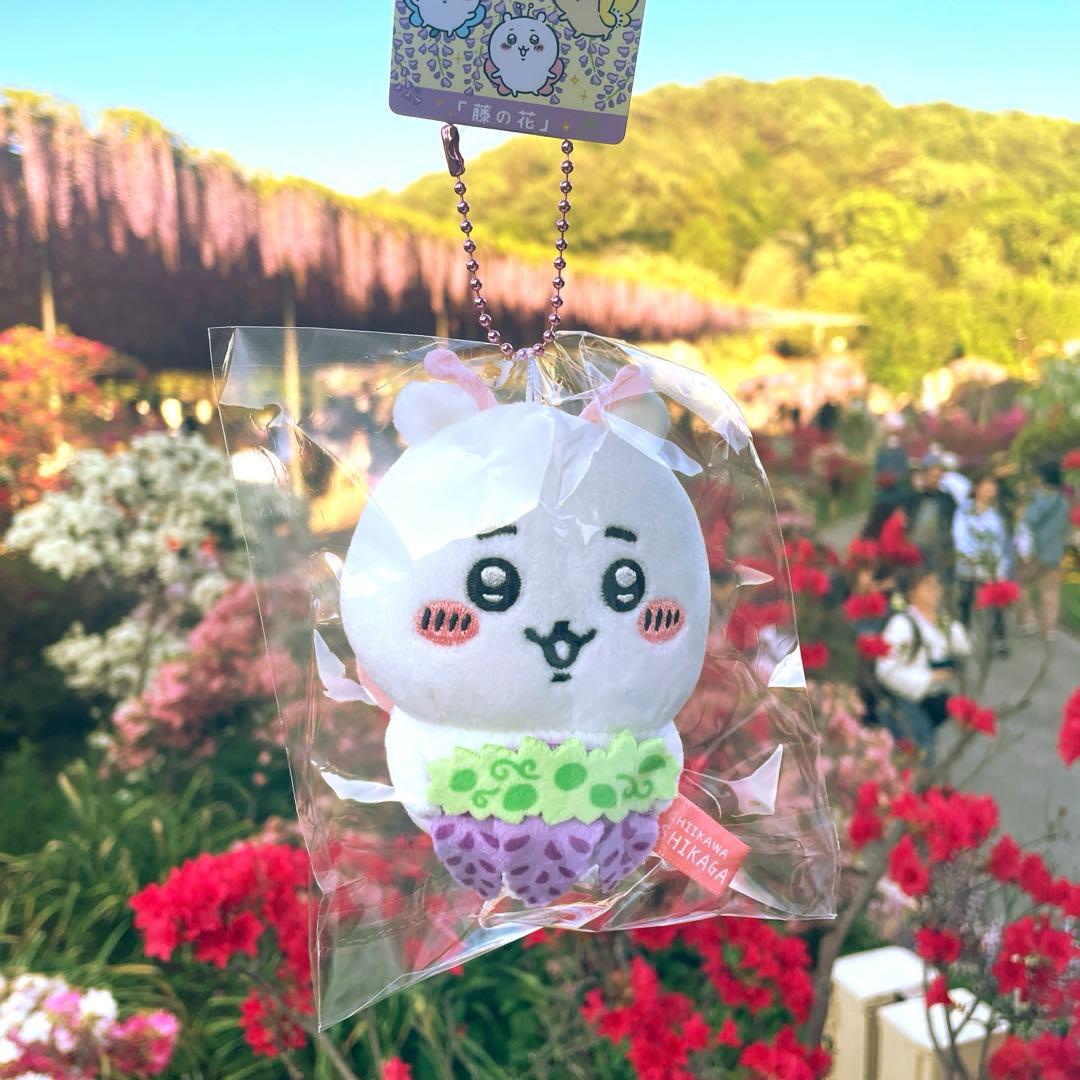 ご当地ちいかわ 足利限定 あしかがフラワーパーク 藤の花 ちいかわ