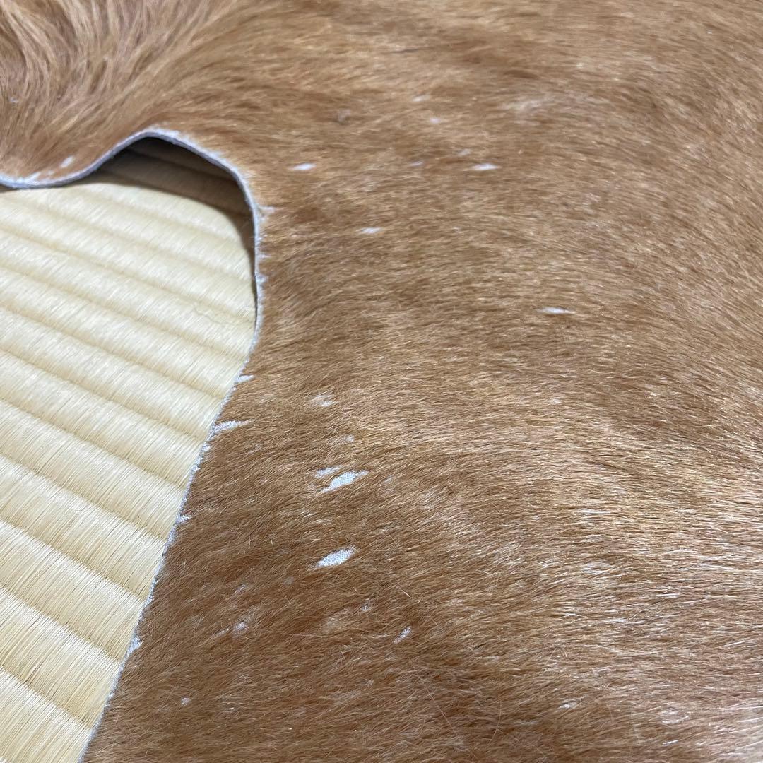 希少品】敷物 未使用 水牛（バッファロー） 大型 本皮 カウラグ 一点