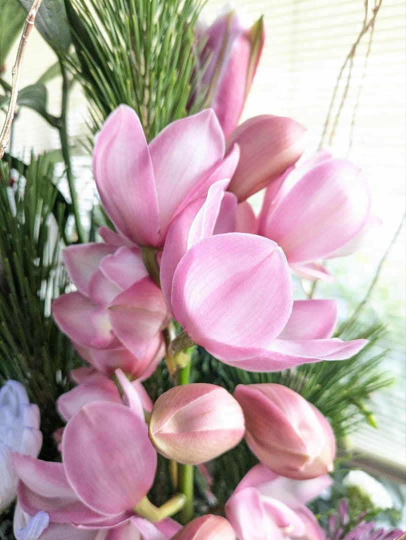 ❀みあり様❀