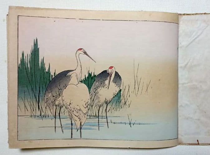 稀省亭版画花鳥画帖12図柄入り渡辺省亭画、明治後期頃芸艸堂出版 渡辺省亭『十二ケ月花鳥画』額12点揃【ポイント5％還元中】 : アート