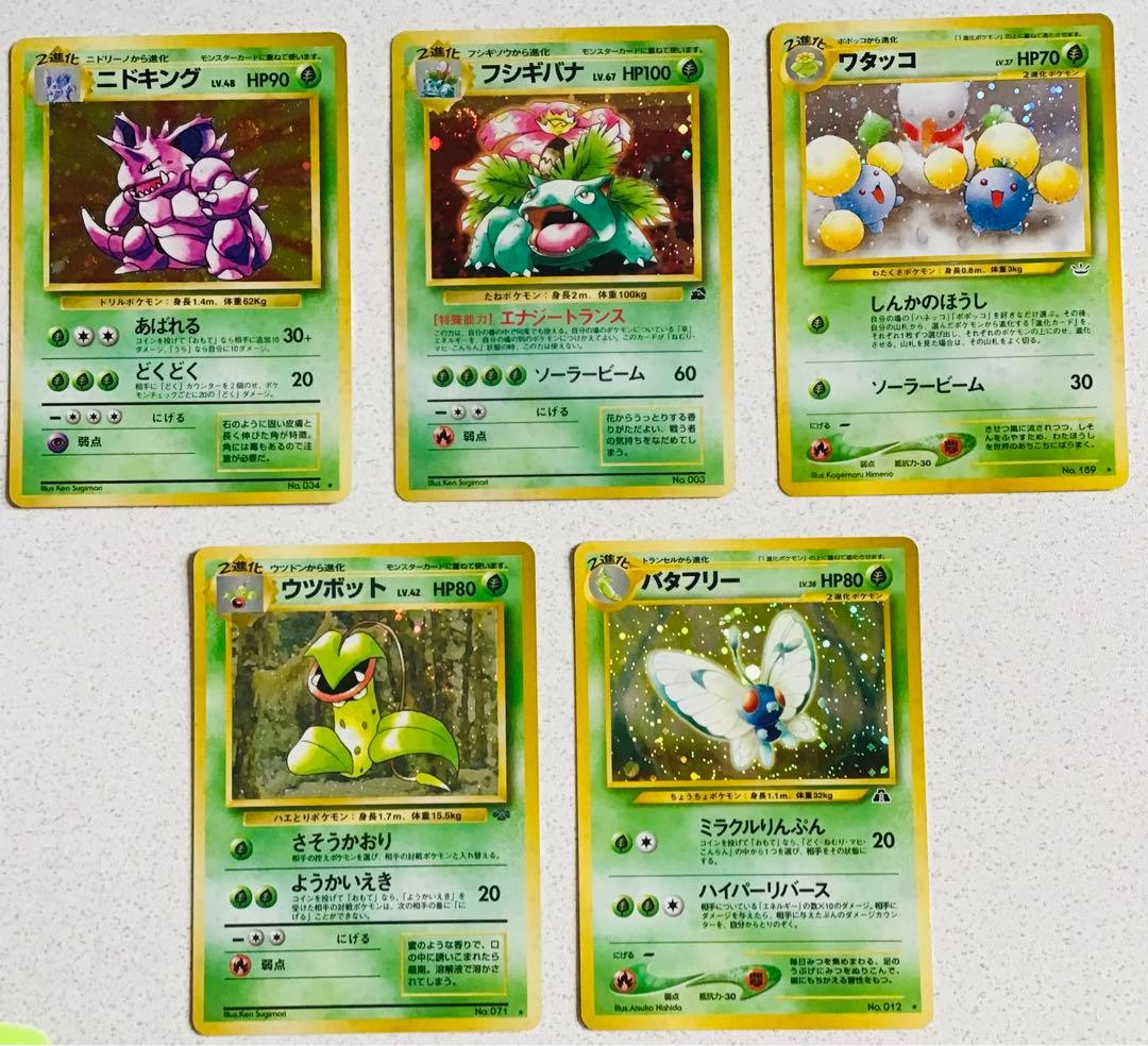 ポケモンカード旧裏　草タイプ5枚　エネルギーカード7枚つき 基本草エネルギー【ポケモンカードトレカお買得価格通販：CBトレコロ】