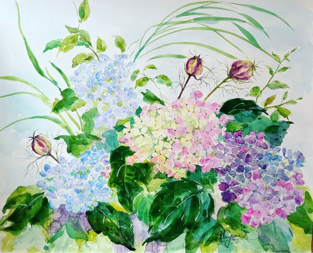 水彩画　紫陽花とニゲラの実 雨に濡れる一輪の紫陽花、水彩画のイラスト素材 [104388776] - PIXTA
