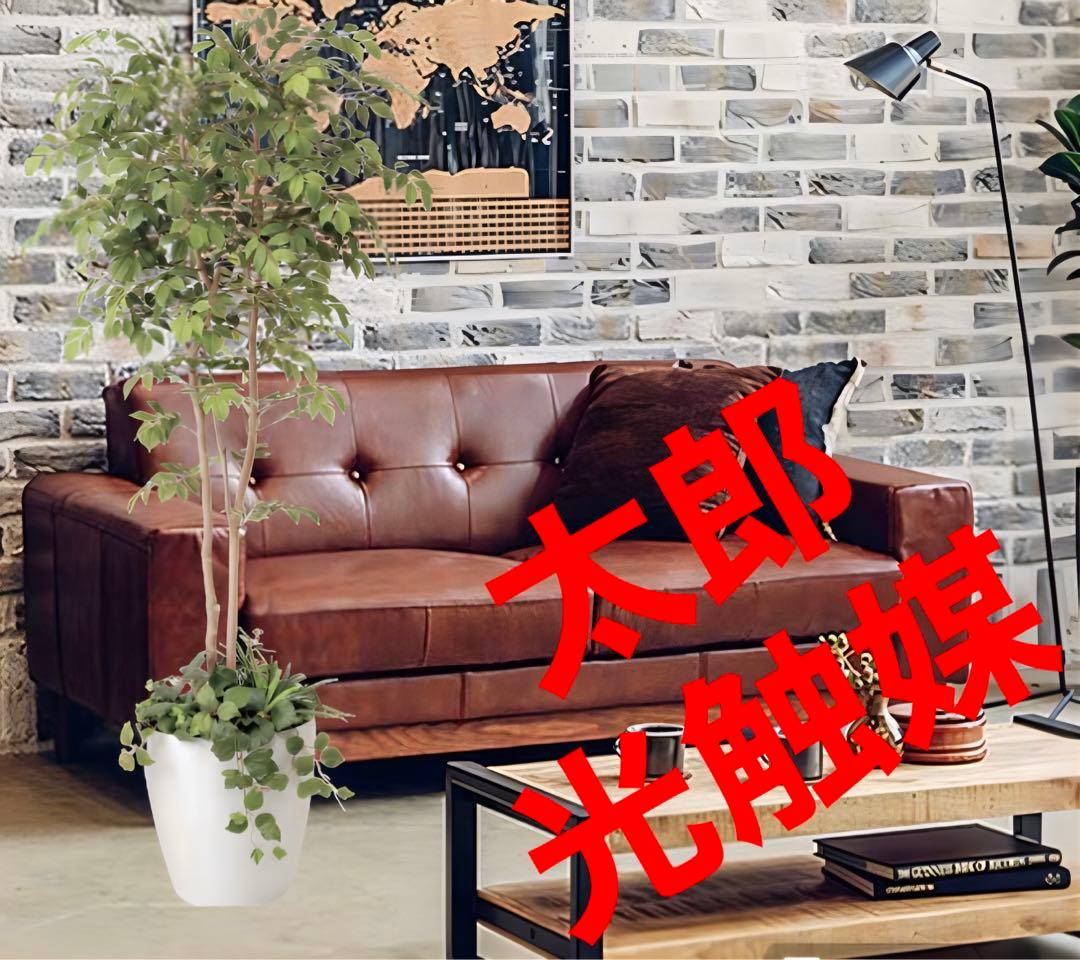 光触媒　人工観葉植物　ウォールグリーン　マウンテンアッシュ1.8 植栽付 光触媒 光の楽園マウンテンアッシュ 高さ 1.6m【インテリア フェイク