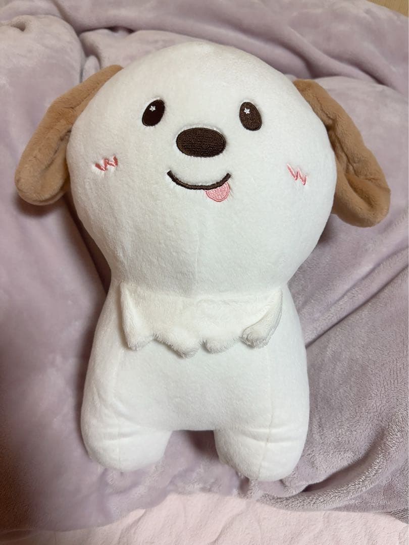 RIIZE アントン モンリョンイ 40cm ぬいぐるみ RIIZE アントン LITTLE RIIZE KEY RING モンリョンイ - メルカリ