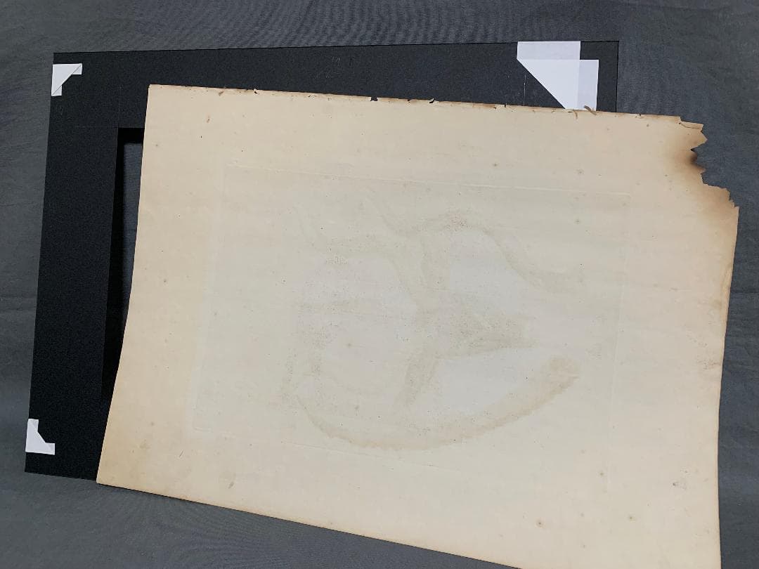 アンティーク ラインベルガー書『動物図解書の額』 中に燃え跡のある