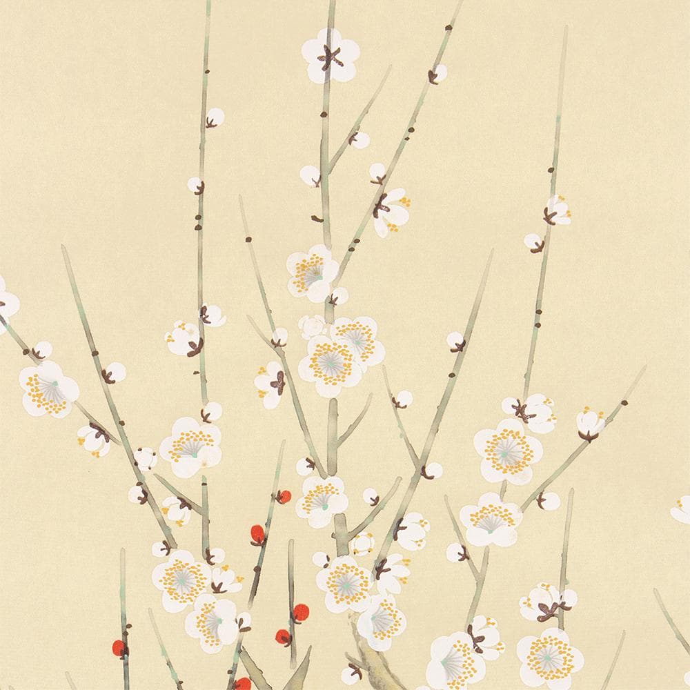 掛軸 日本画 桜井浩堂「紅白梅に鶯」共箱 東洋美術会会員 - メルカリ