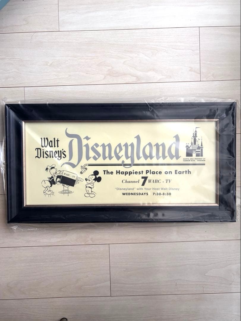 【みみ※プロフ必読お願いします】Disneyland ウォールアート _ Mickey Mouse is the idol of my life🐭🪄💫 There are no idols