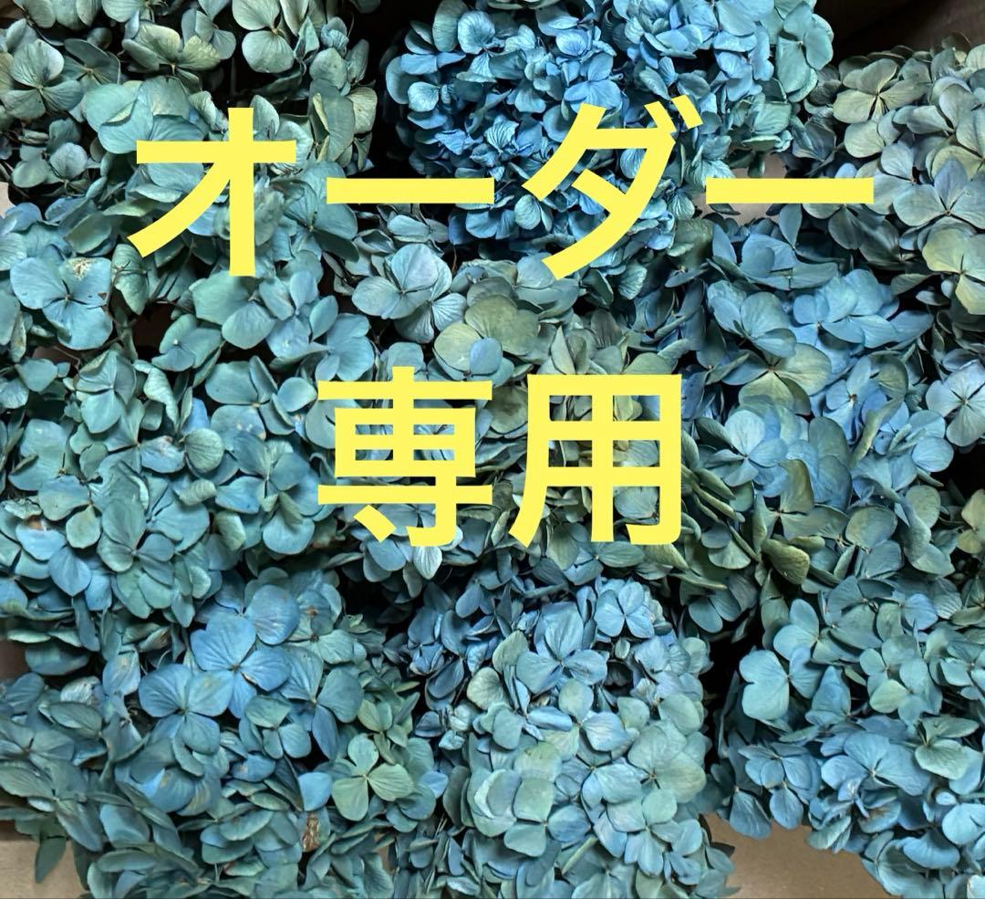 【オーダー専用】アジサイ ドライフラワー 第2期　青緑〜緑青〜黄緑〜紫〜ベージュ あじさい枝付き ブルー・グリーン系 ドライフラワー 【 Sサイズ