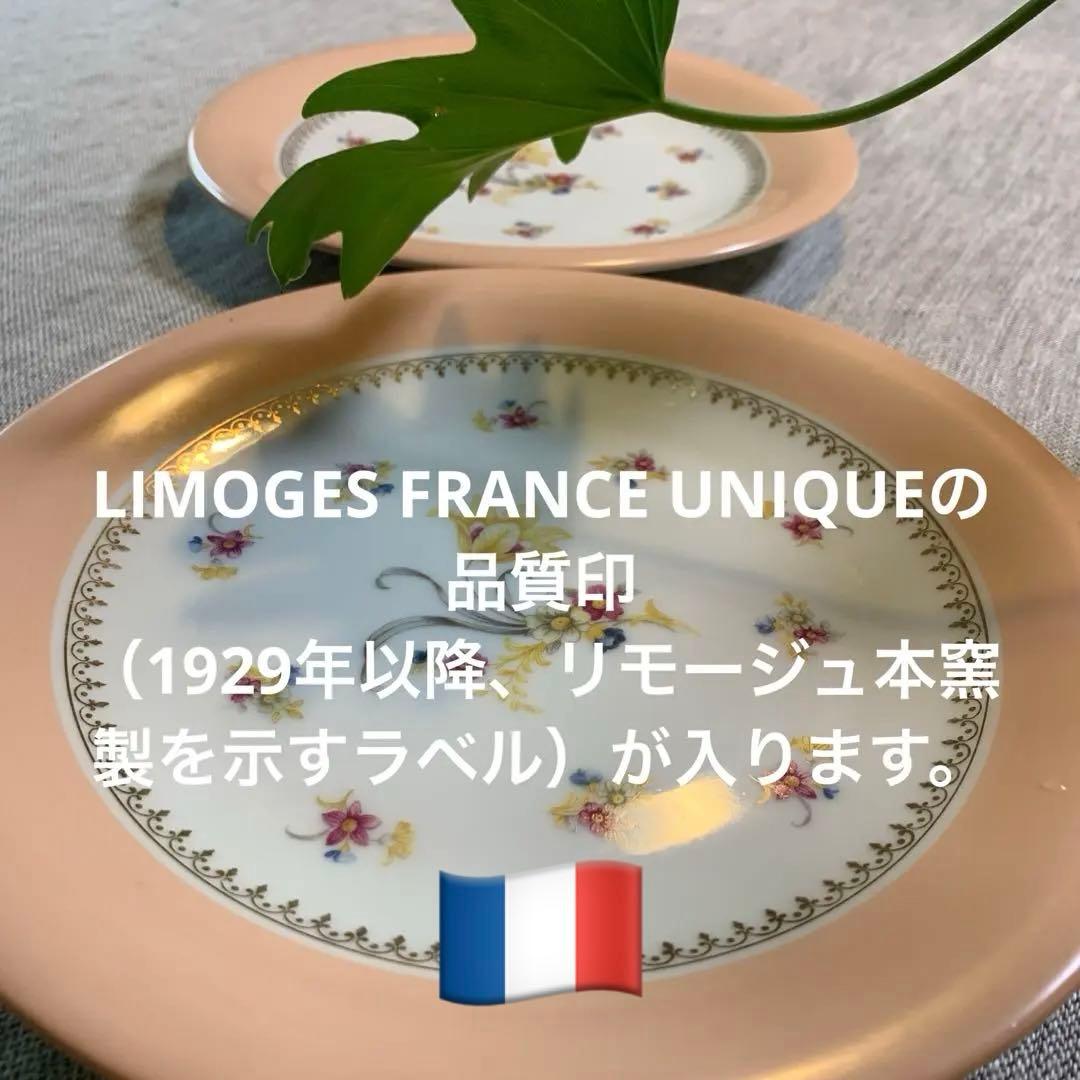 Limoges リモージュ ピンクリム 花 金彩 美品 UNIQU印 1929〜 - メルカリ