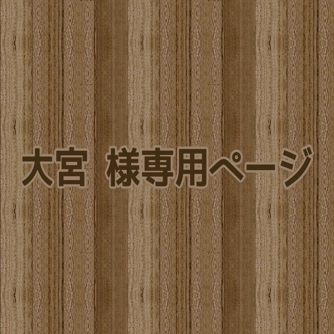 大宮ページ 雨の大宮公園 : 日々是或不阿