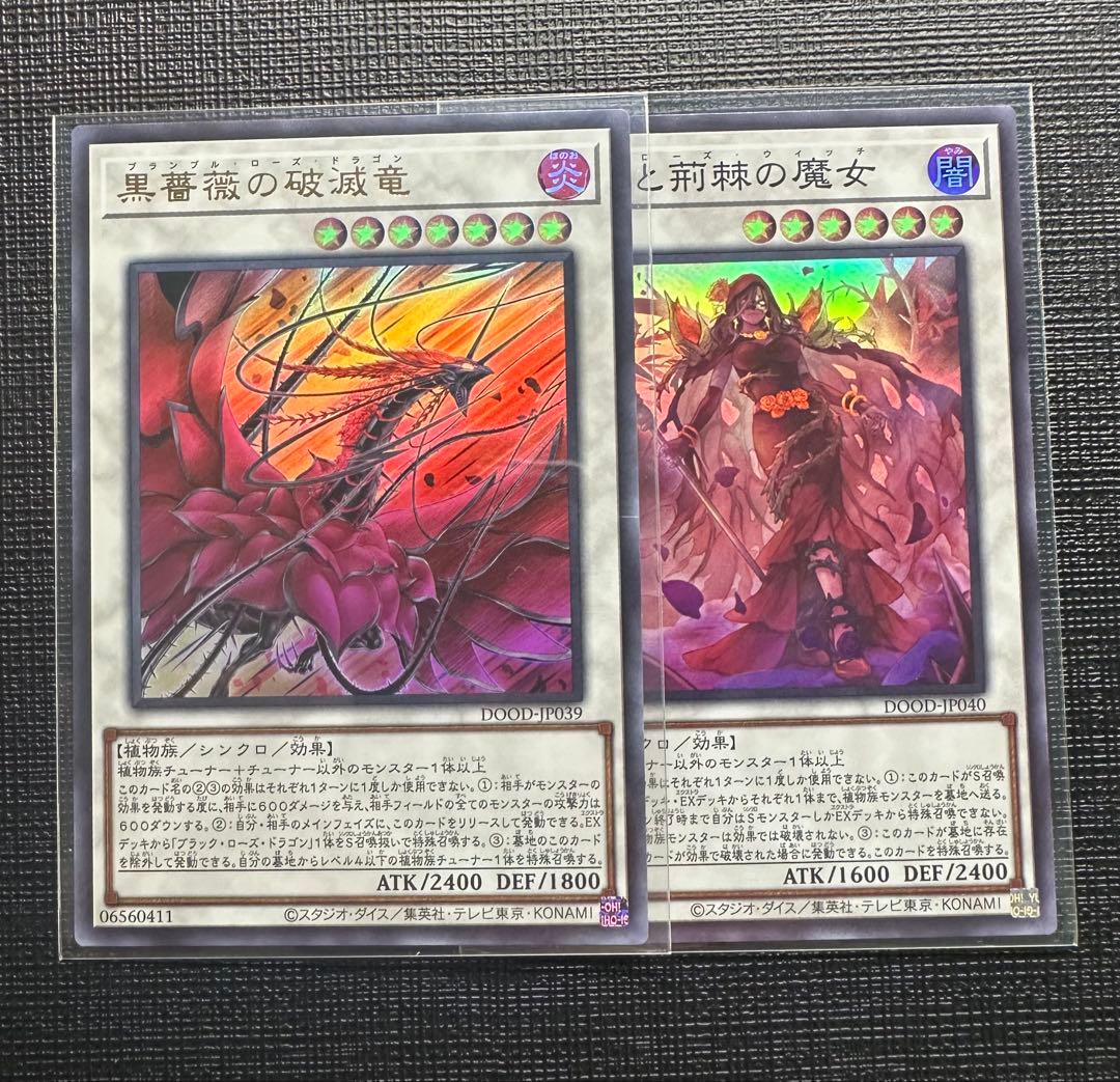遊戯王 ブランブルローズドラゴン 黒薔薇の破滅竜 黒薔薇と荊棘の魔女