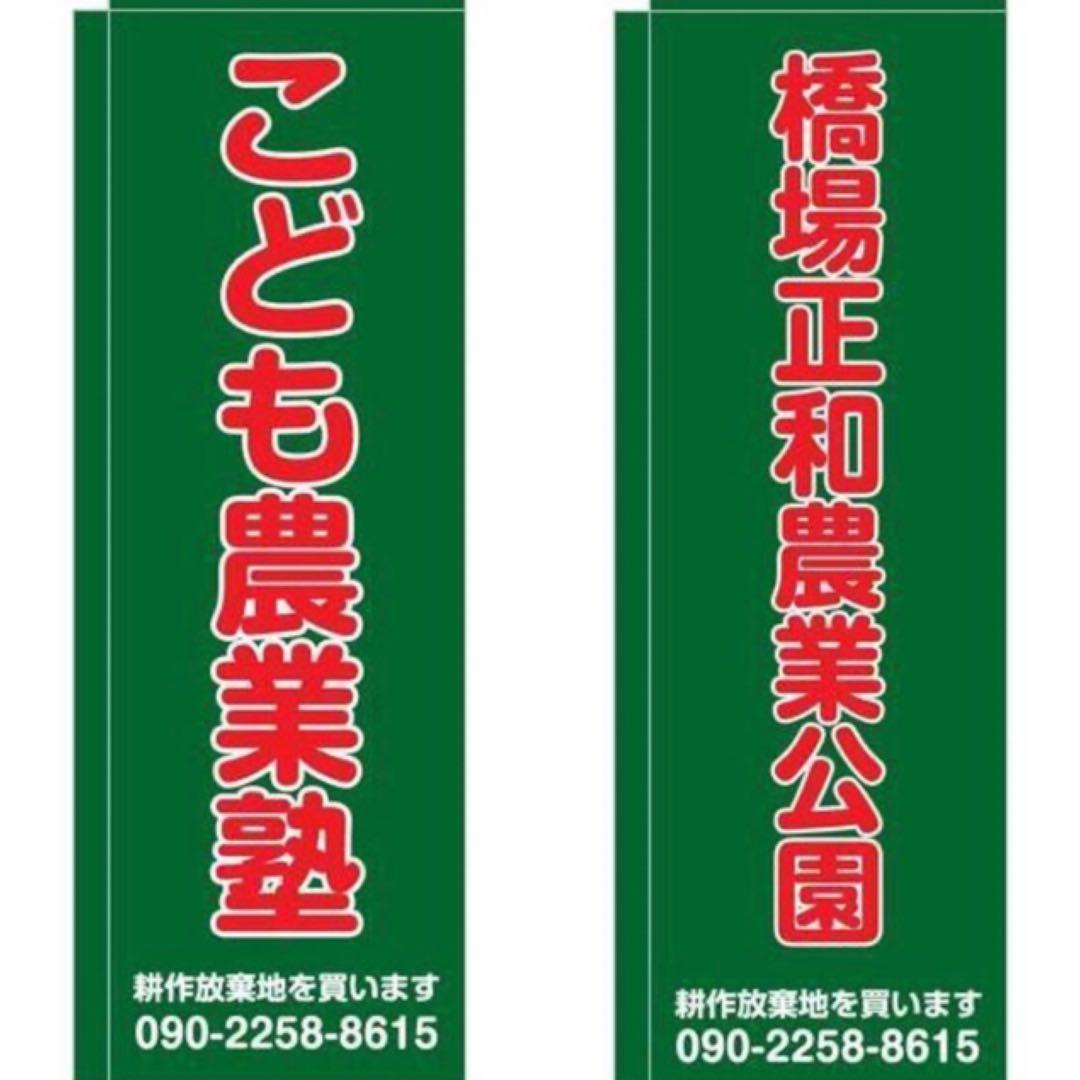 こころの風景コレクション【杉本雅士　グラスのある静物】60％お値引き！！