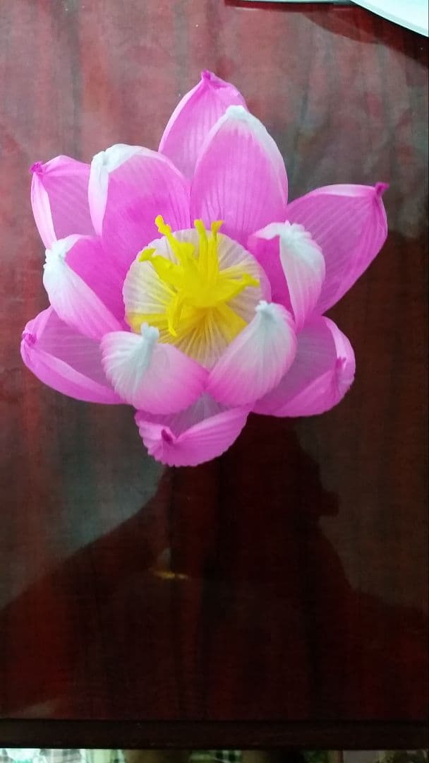 とみひろ