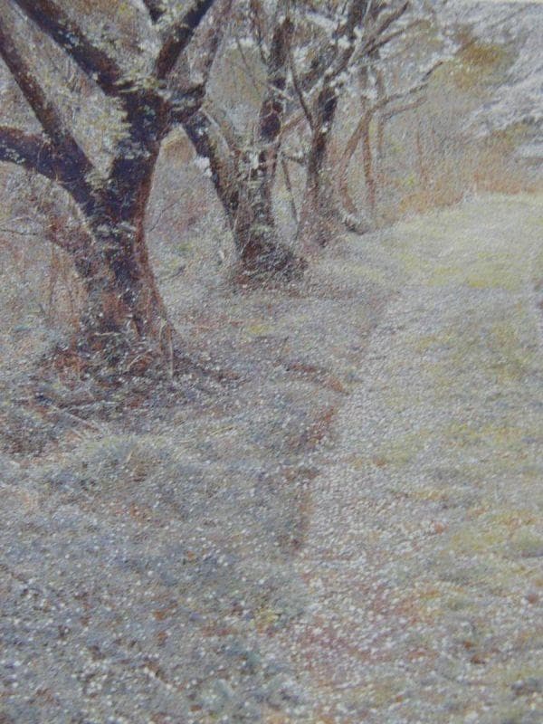 鶴田憲次、【The Earth-SAKURA・和束仁丹】、希少な額装用画集より