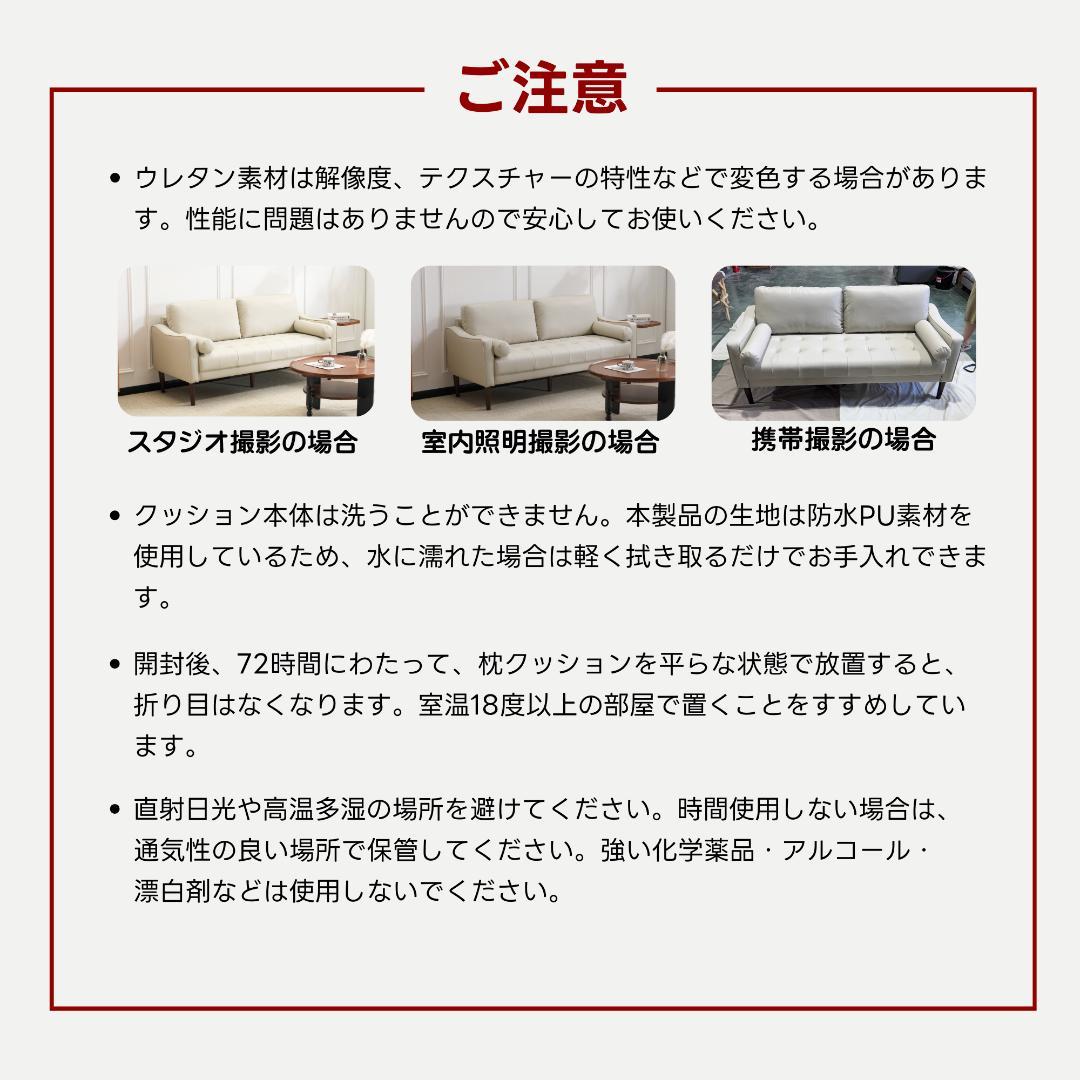 ソアラ 2人掛け 肘掛け付き 枕付き 取り外し可能な脚 WHITE