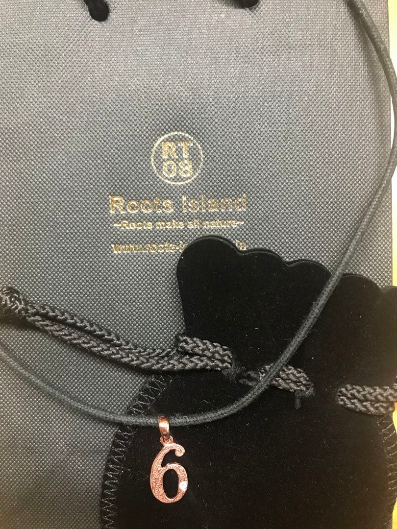 Roots Island ルーツアイランド ソウルナンバー8 ネックレス - メルカリ