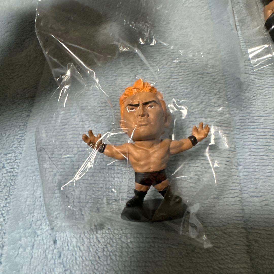 雅俊様専用 新日本プロレス 棚橋弘至 オカダカズチカ(AEW) プロ格